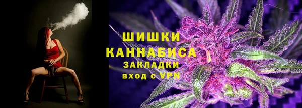 apvp Богданович
