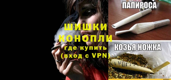 apvp Богданович