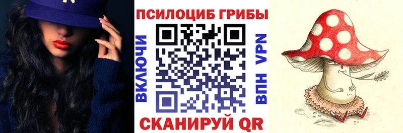 закладки  Севск  Псилоцибиновые грибы мицелий 